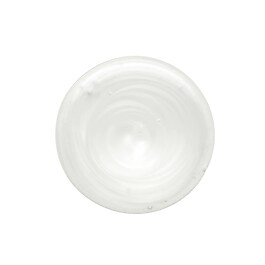 Hairdresser's Invisible Oil - Shampoo